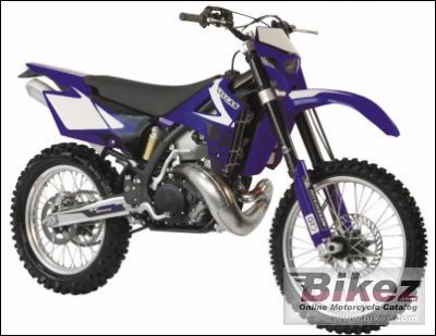 2008 gas gas ec 300 photo